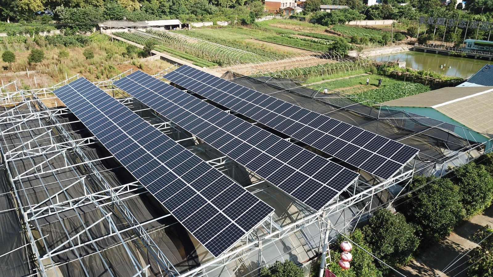 太阳能光伏发电，绿色环保，让你的生涯充斥阳光