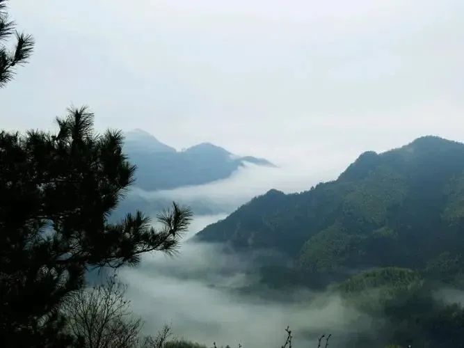 湖北万利官网绿色能源有限公司